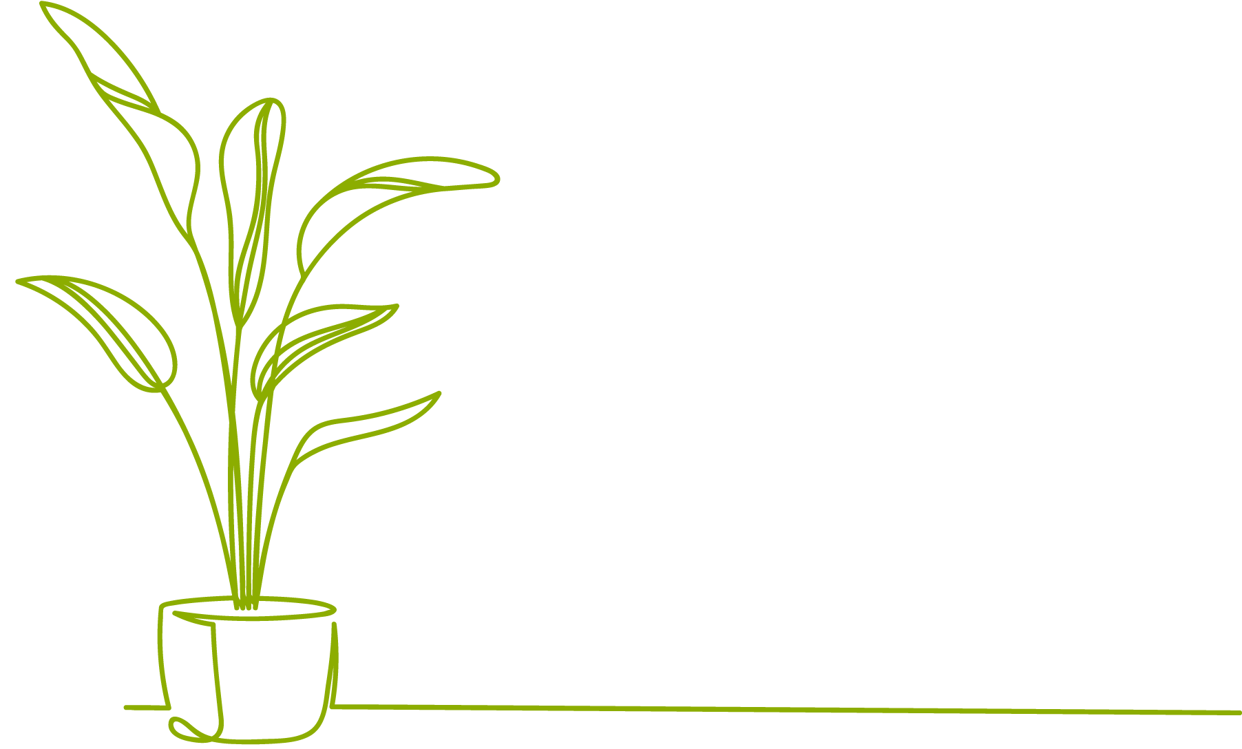 Health Yeppoon Decorative Plant